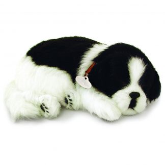 Border Collie Bundle