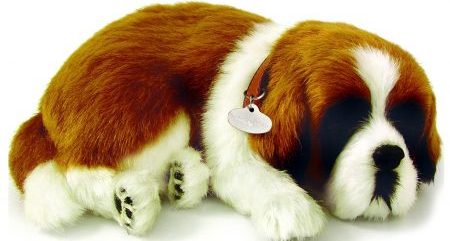 https://www.perfectpetzzz.com.au/wp-content/uploads/2014/12/20104-S-St-Bernard-e1460599101460-450x241.jpg