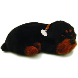 Rottweiler Bundle