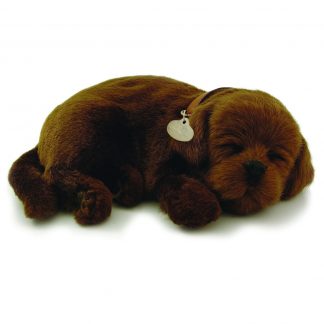 Chocolate Lab bundle