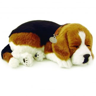 Beagle Bundle