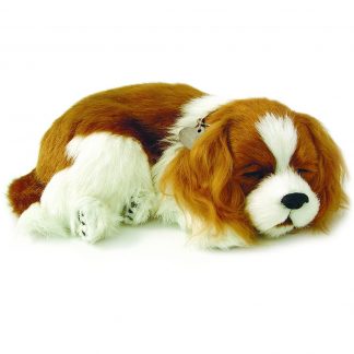 Cavalier King Charles Bundle