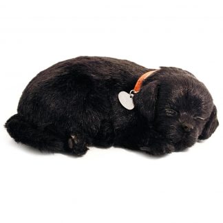 Black Lab Bundle