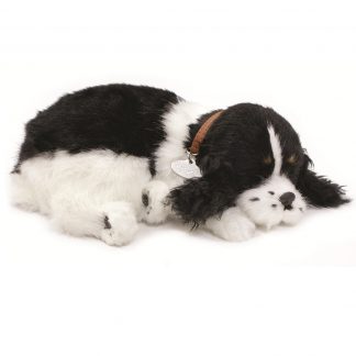 Cocker Spaniel bundle