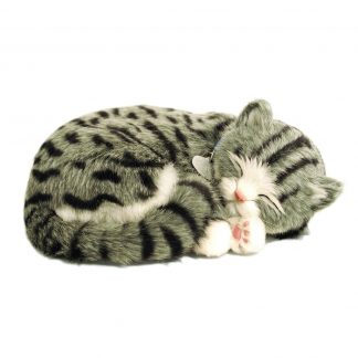 Grey Tabby Bundle