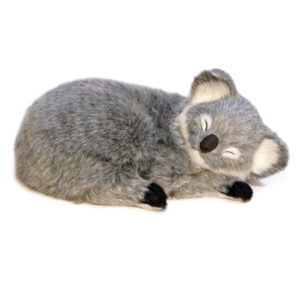 koala bundle