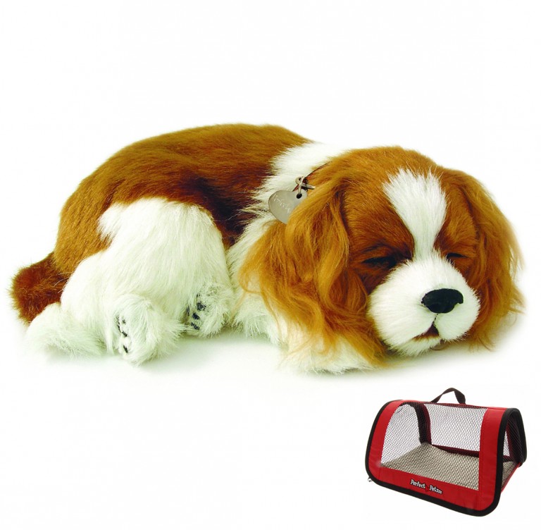 Cavalier King Charles Bundle +Red Tote