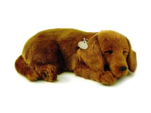 Dachshund Bundle