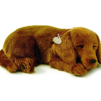 Dachshund Bundle