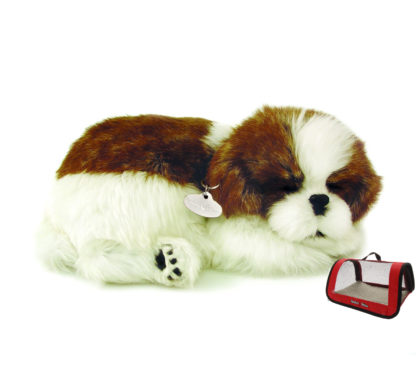 Shih Tzu Bundle + Red Tote