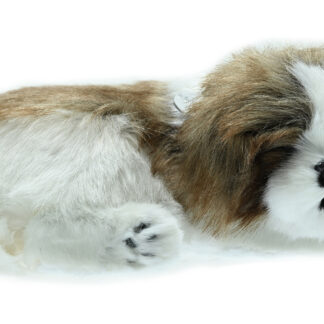Shih Tzu Bundle