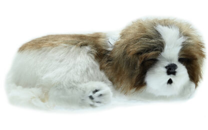 Shih Tzu Bundle