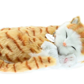 Orange Tabby Bundle