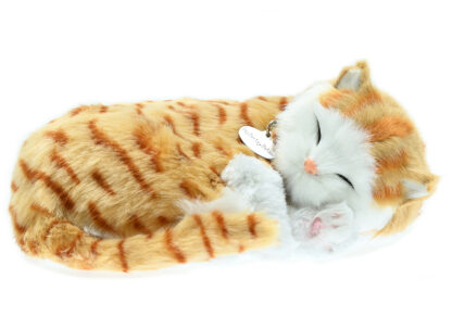 Orange Tabby Bundle