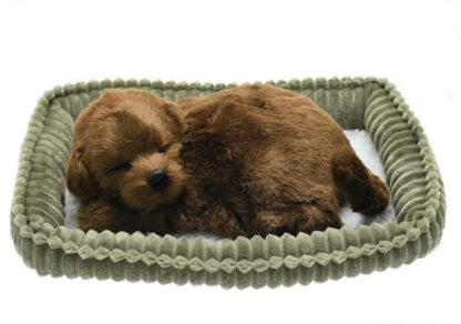 Chocolate Lab Wag Tail